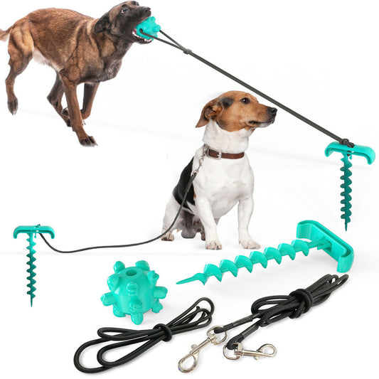 Tie dog leash dog toy - Dailydog